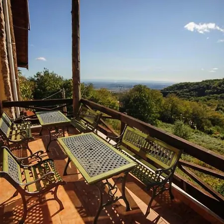 Complex Pierion Musses Elatochórion